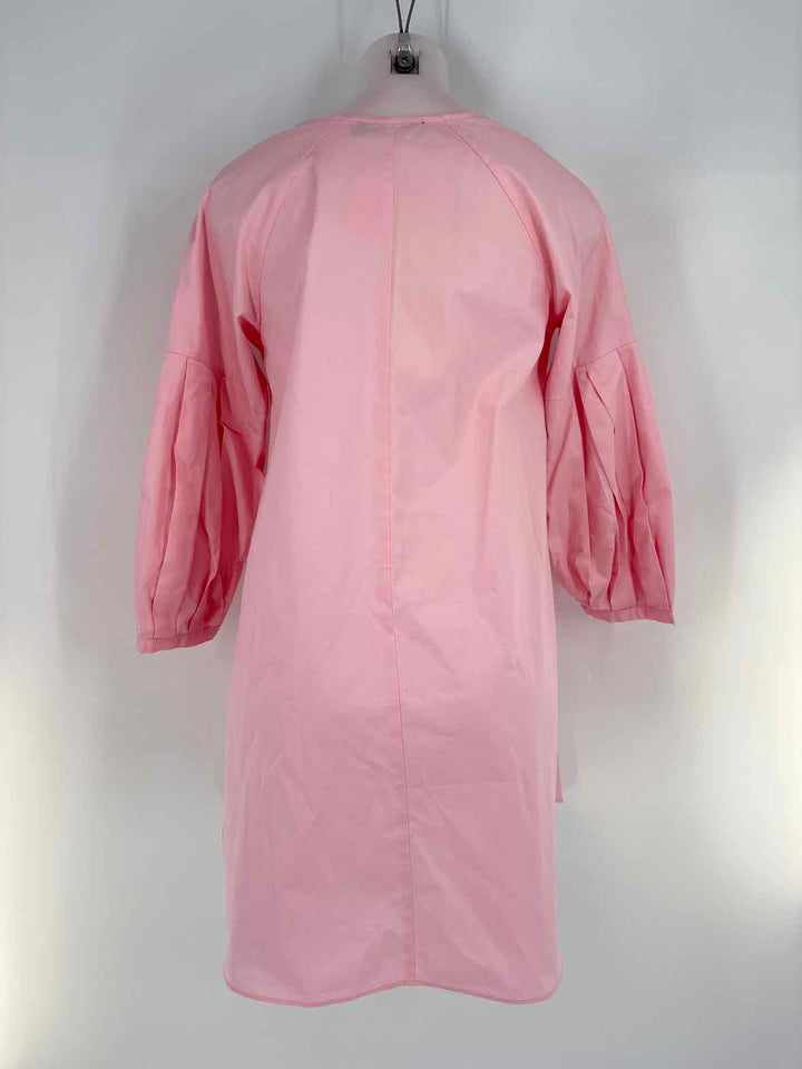 Size S POMANDER PLACE Pink Dress