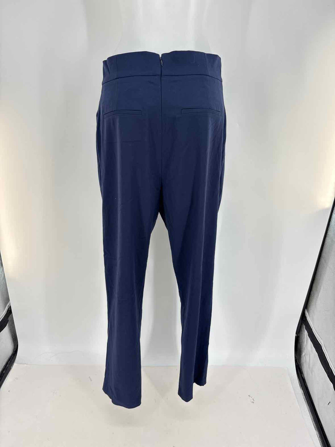 Size L BCBG Navy Pants