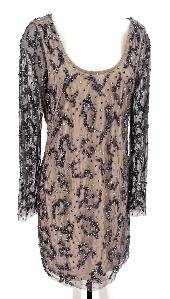 Size 10 Adrianna Papell Gray Sequined Dress