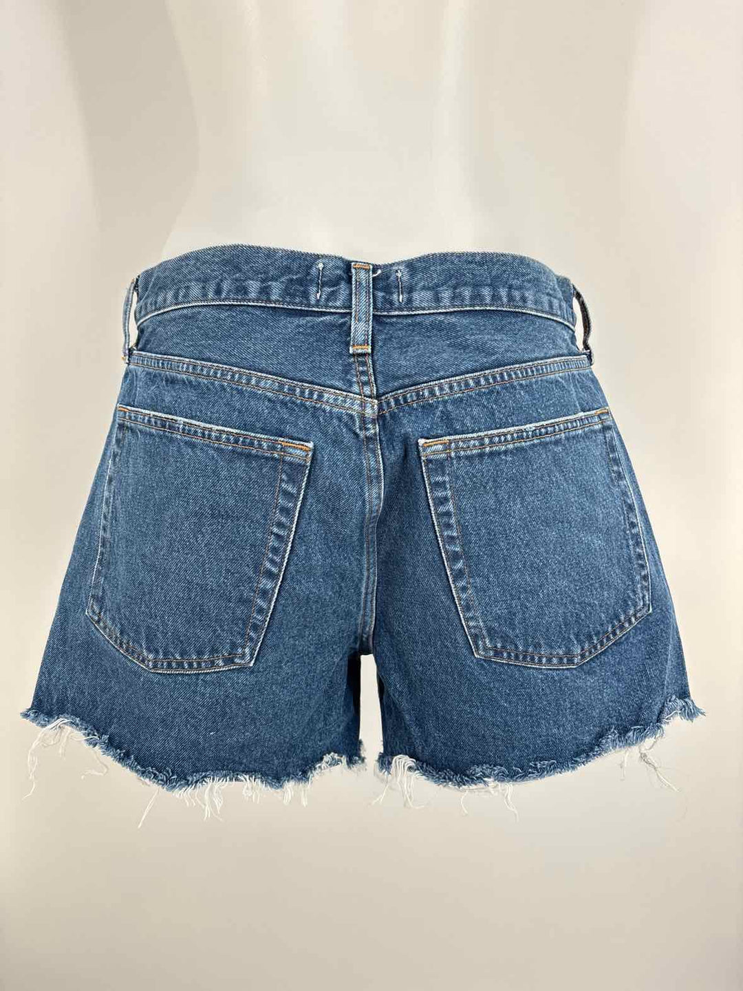 Size 29 AGOLDE Denim Shorts