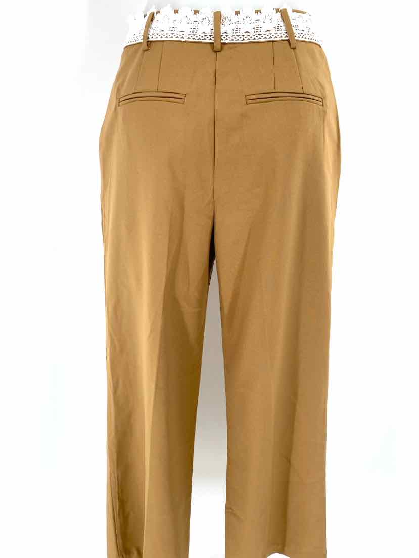 Size S Brown Pants