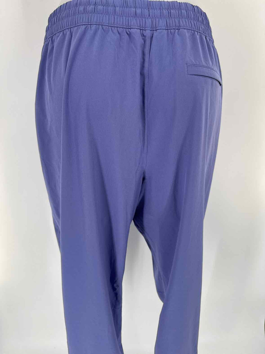 Size 14 Athleta Purple Pants