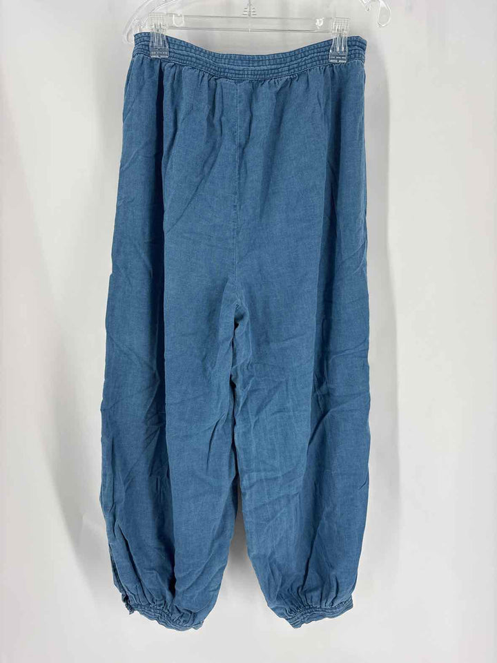 Size M Anthropologie Denim Pants
