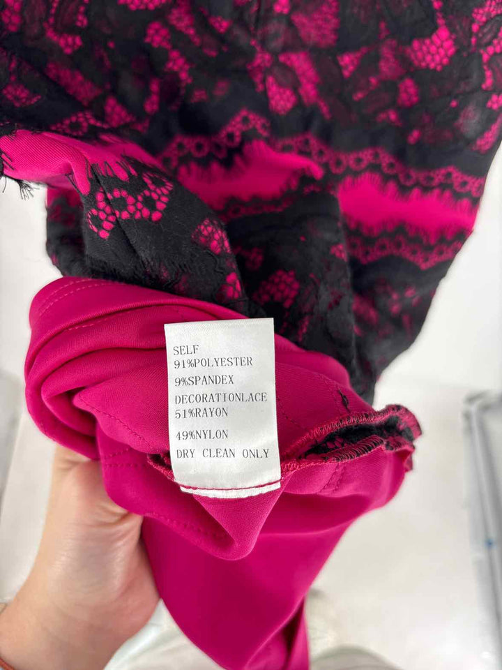 Size 12 TADASHI SHOJI Fuschia Lace Dress