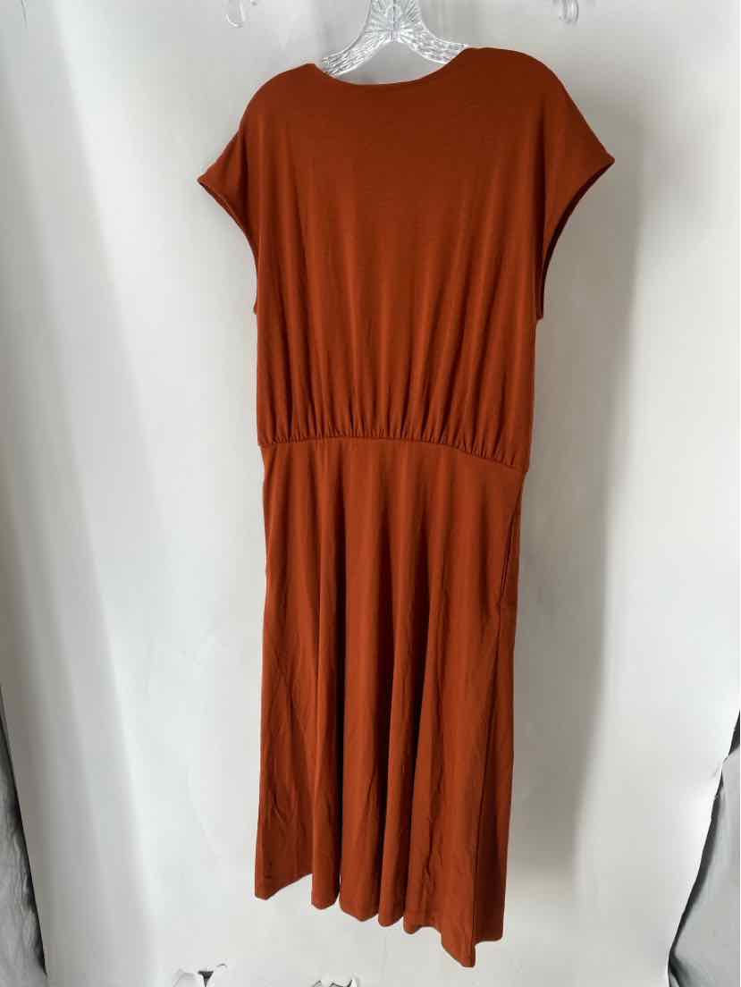 Size L Banana Republic Brown Dress