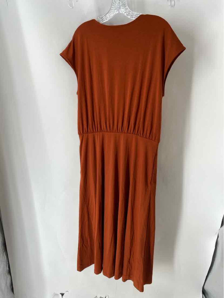 Size L Banana Republic Brown Dress