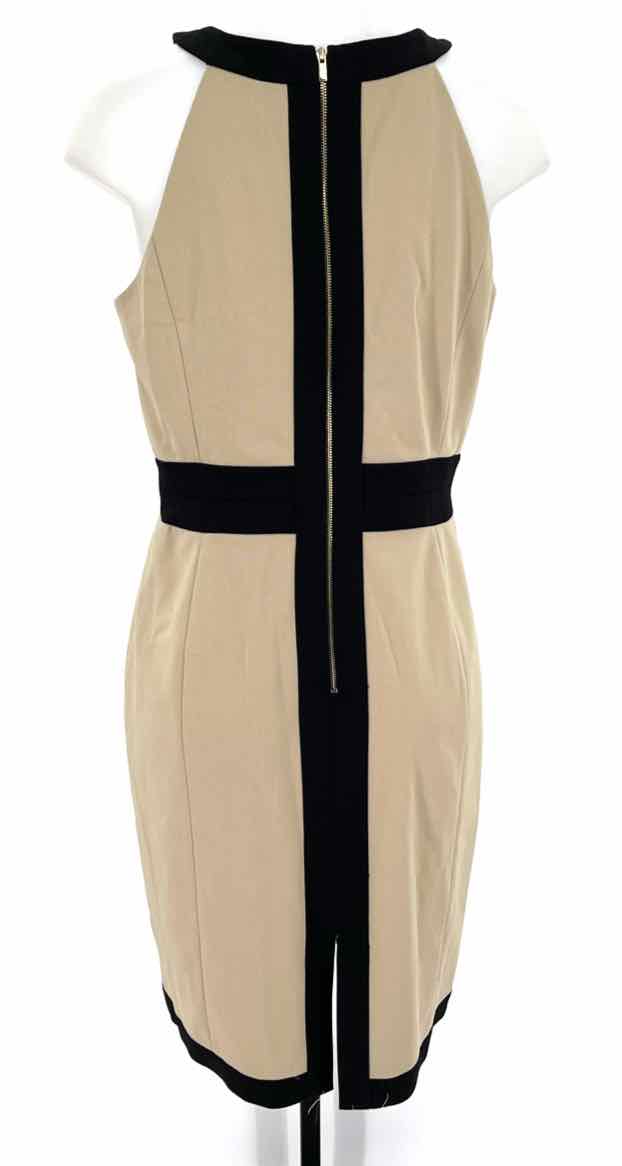 Size 10 Ann Taylor Tan Dress