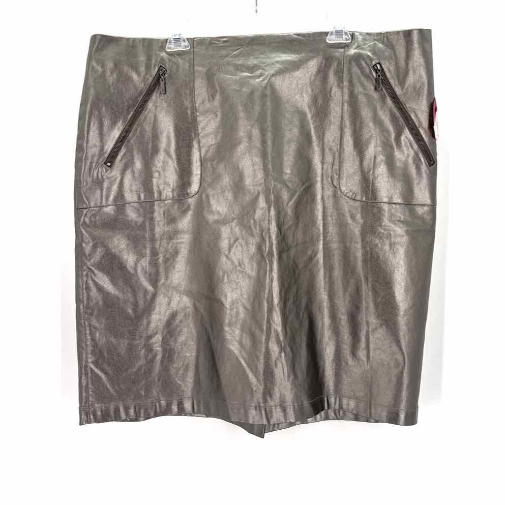 Size 24 Pewter Faux Leather Skirt