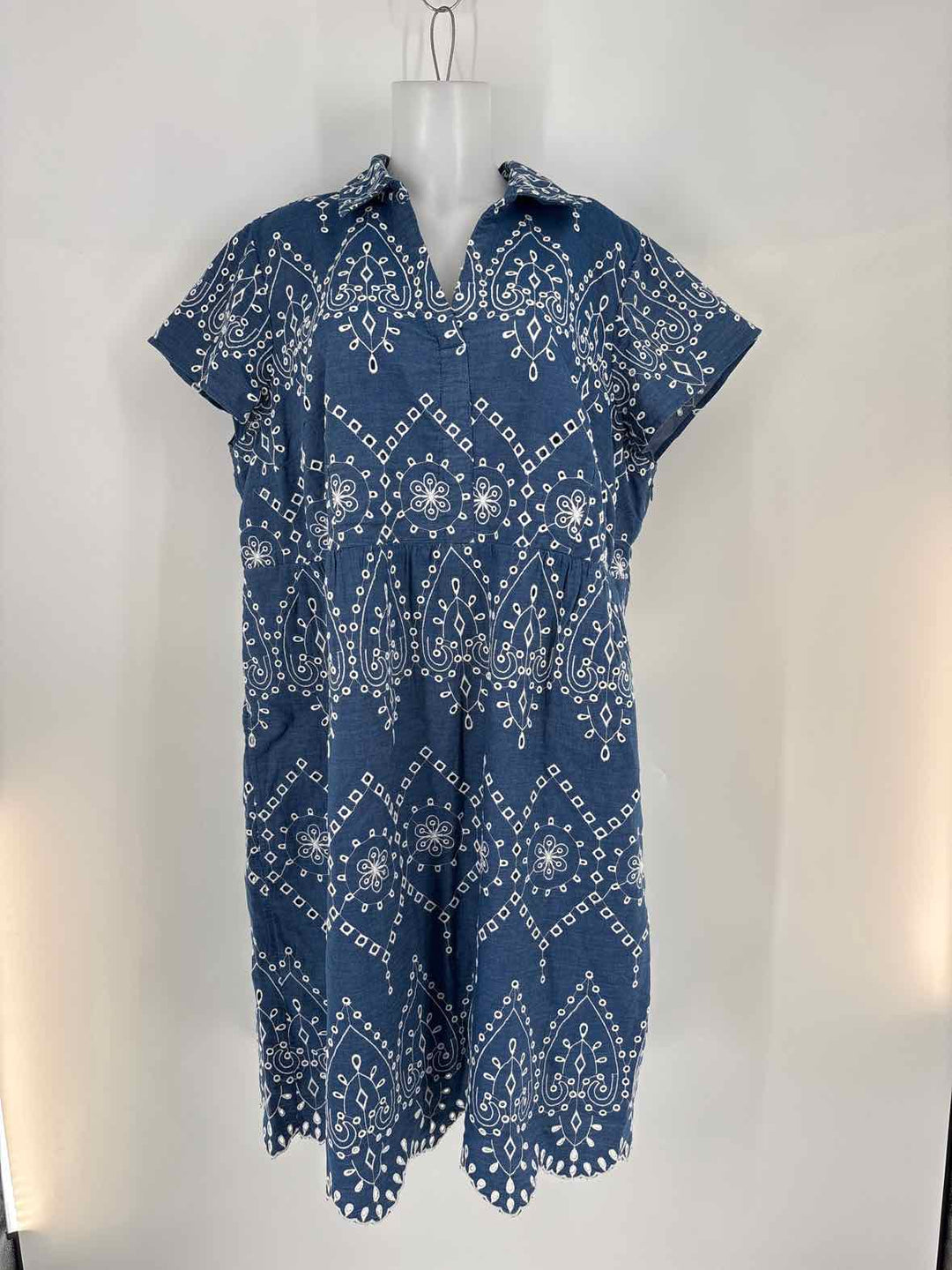 Size 2X J JILL Denim Dress