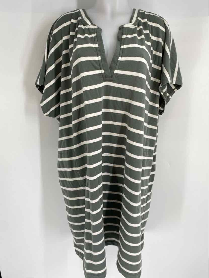 Size 4X J JILL Green Dress – Back by Popular Demand Consignment inc