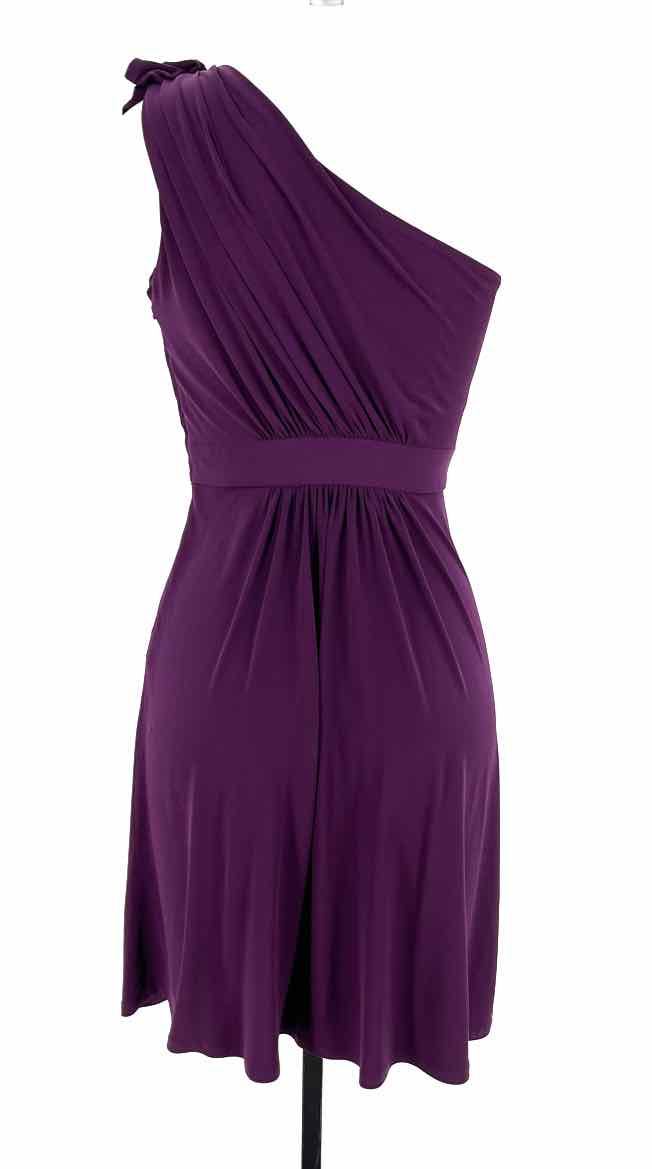 Size 4 MAX & CLEO Purple Dress