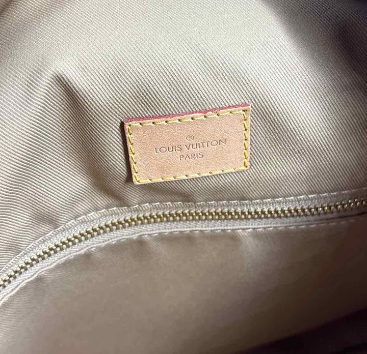 Louis Vuitton Luxury - Purse
