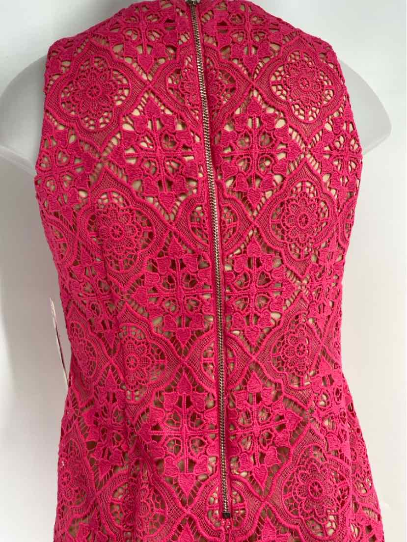 Size 4P ELIZA J Pink Dress