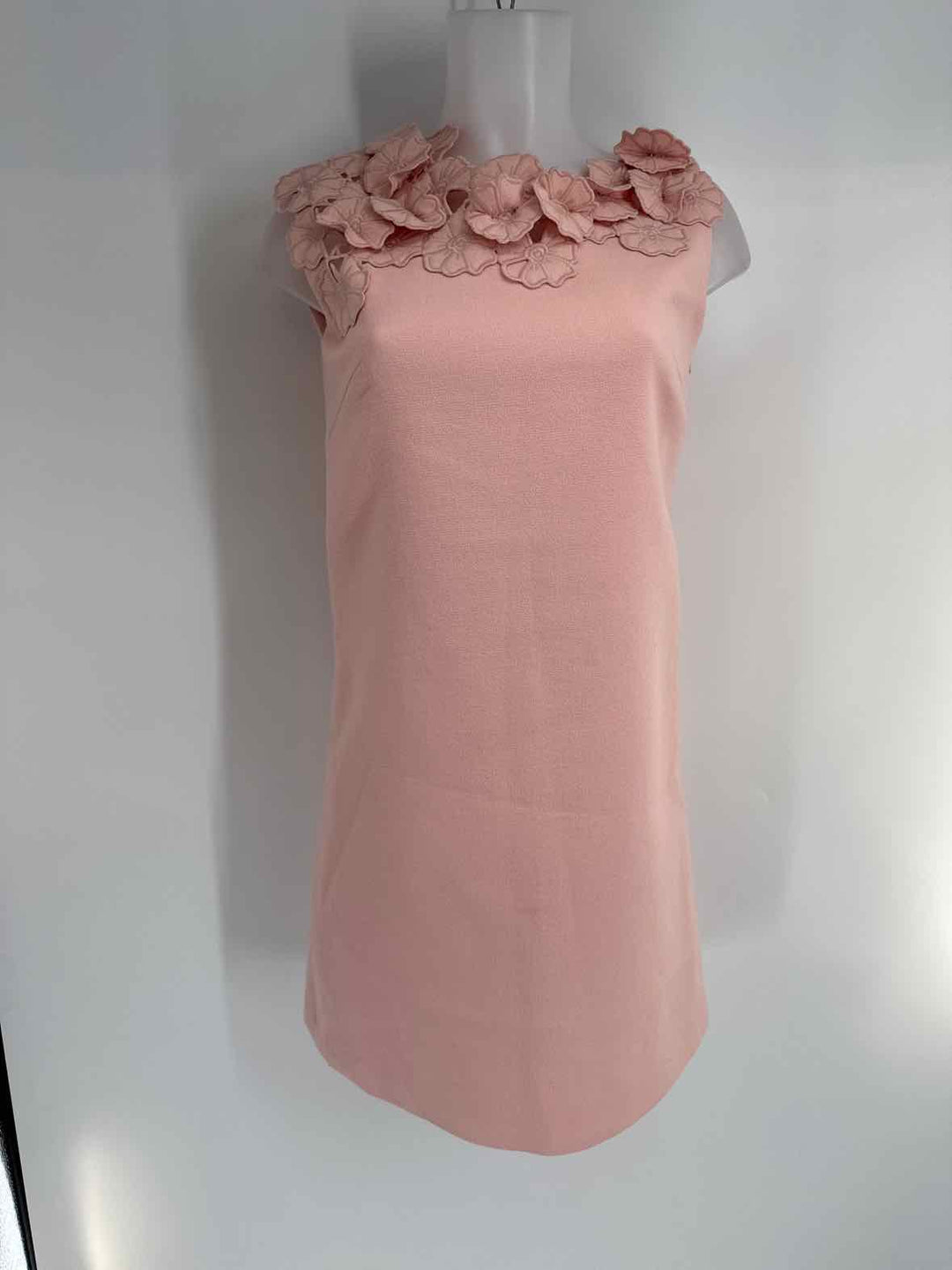 Size XS LANVIN Pink Dress