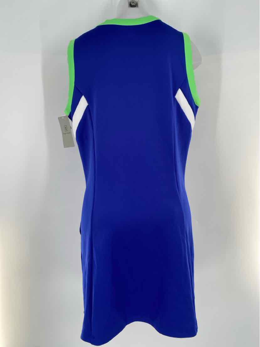 Size XL Blue Dress