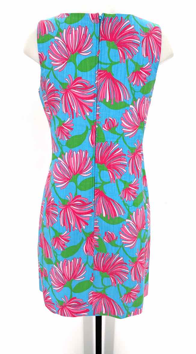 Size 10 Lilly Pulitzer Multi-Color Dress