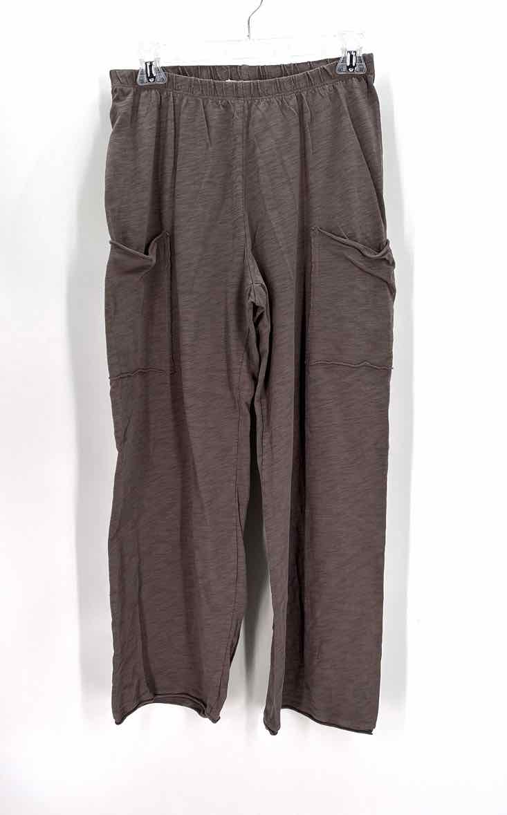 Size M Gray Pants