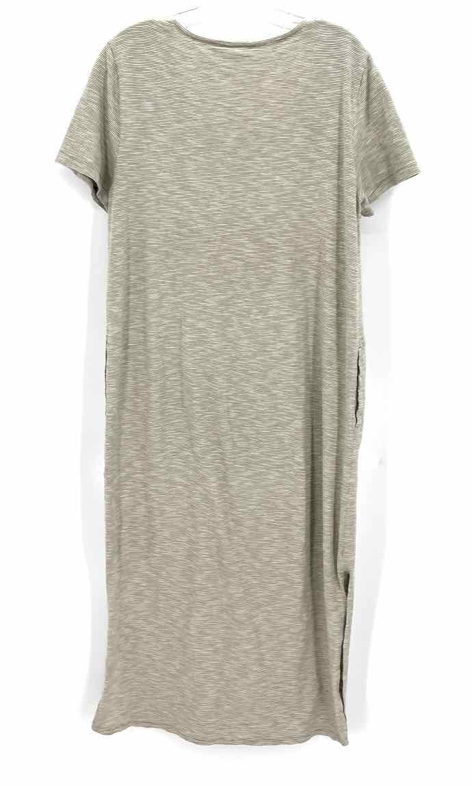 Size 12 Chico's Green Dress