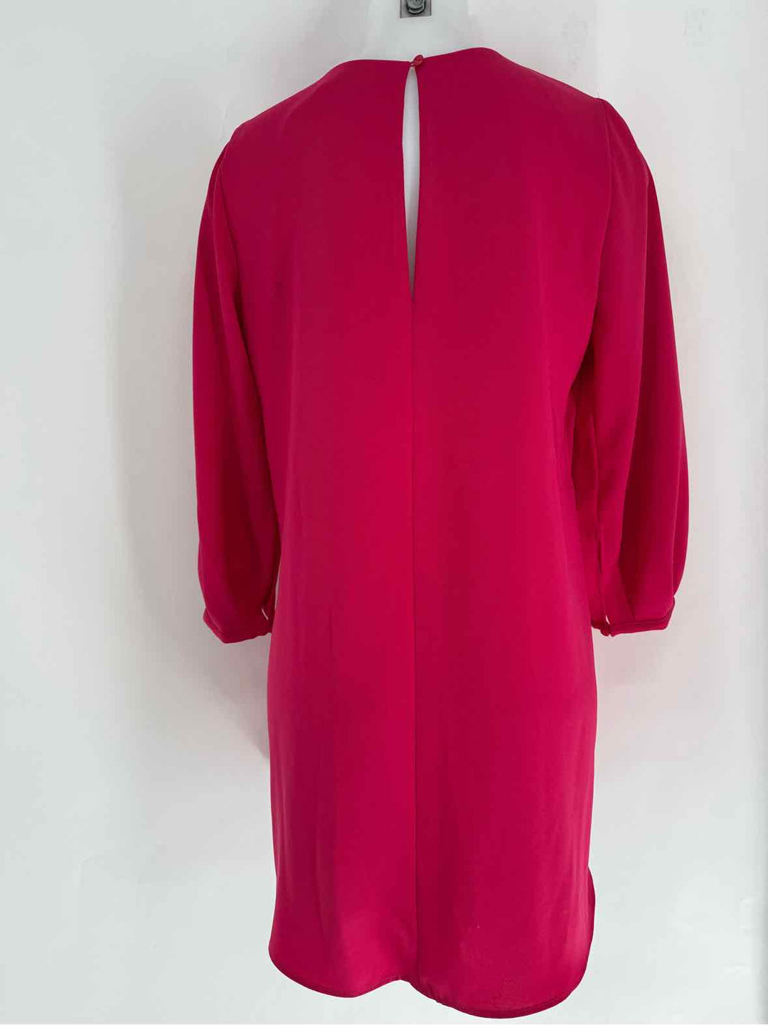 Size S ZARA Pink Dress