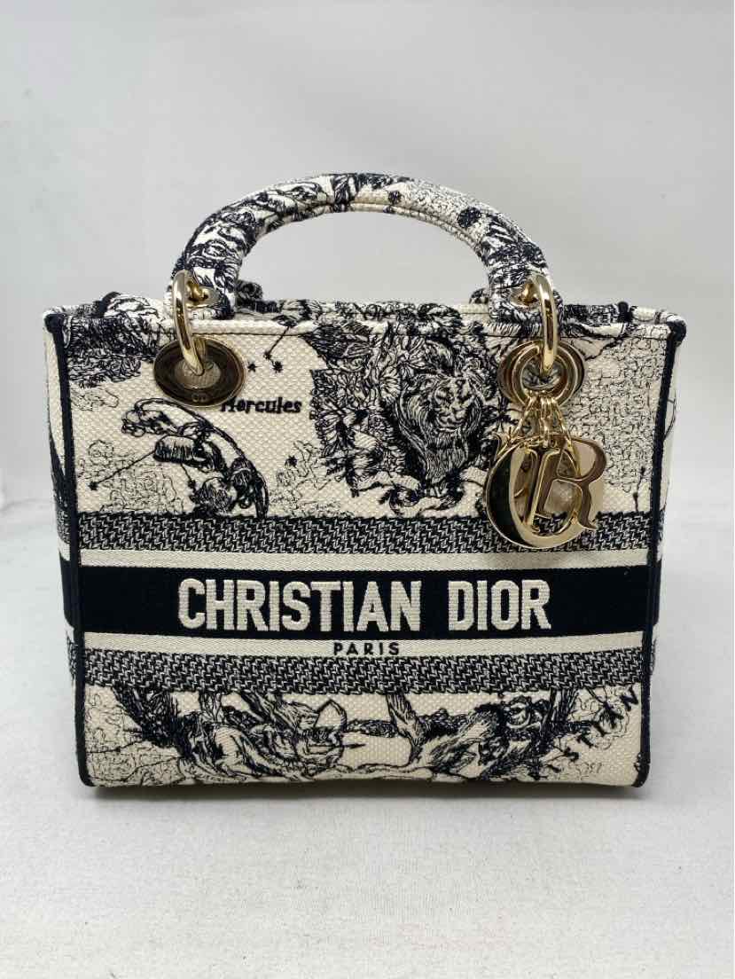 DIOR Luxury - Purse