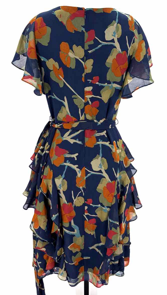 Size 6 RALPH LAUREN Navy Dress