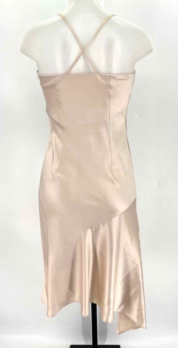 Size S/M Champagne Sateen Dress