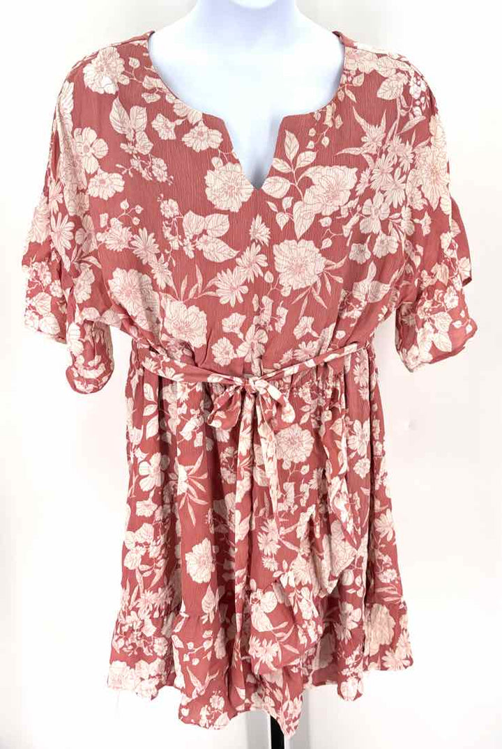 Size 20W Blush Dress