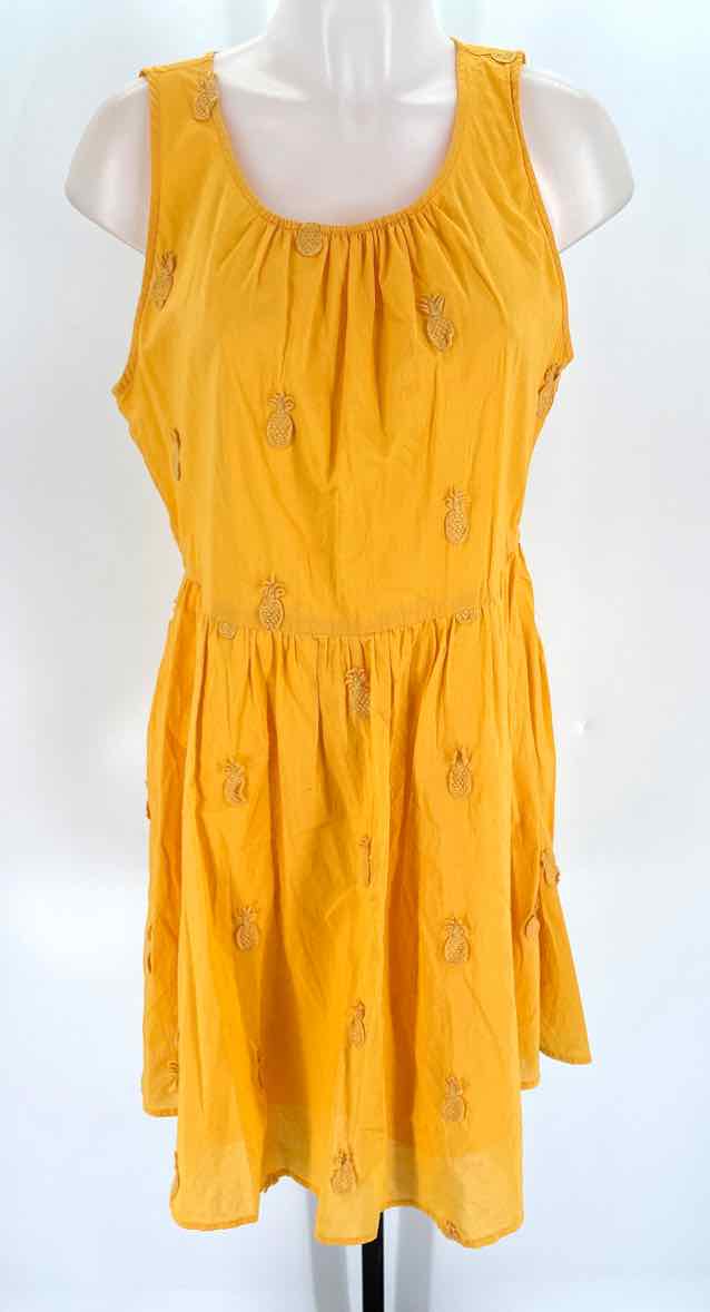 Size 10 J Crew Orange Dress