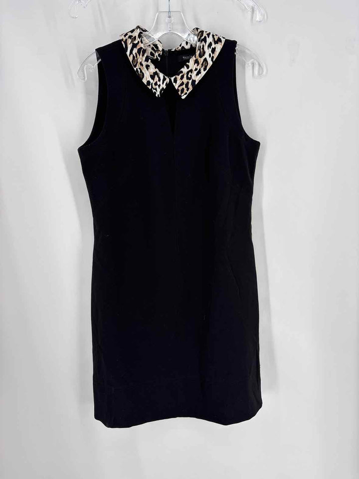 Size 10 White House Black Market Tan Dress