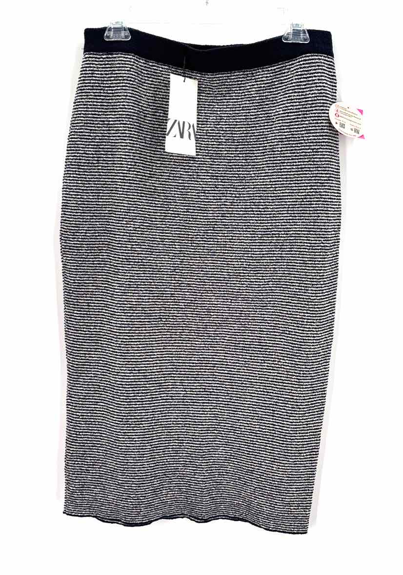 Size L ZARA Blue Skirt