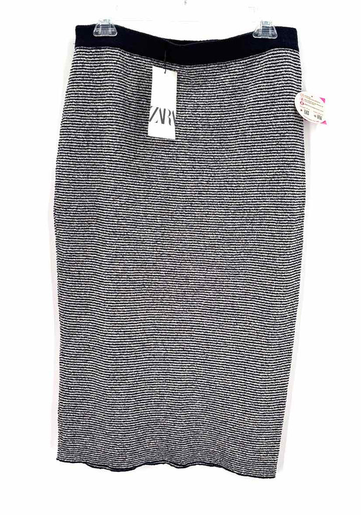 Size L ZARA Blue Skirt