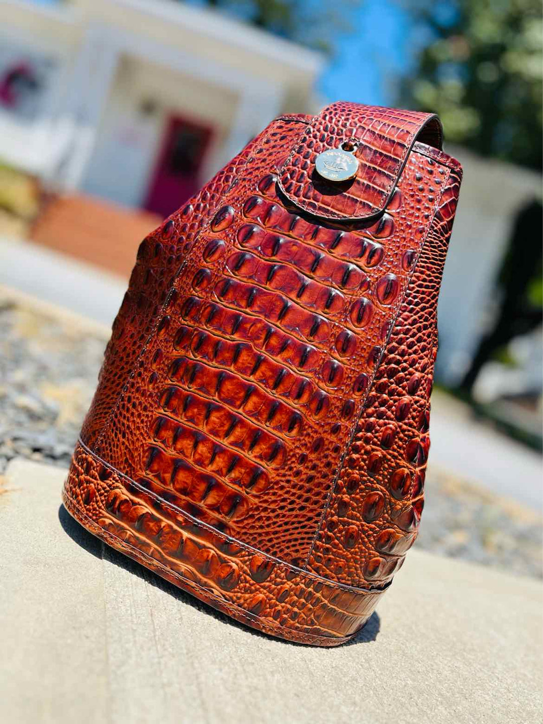 Brahmin Purse