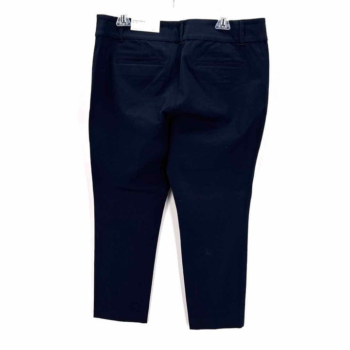 Size 14P LOFT Navy Pants