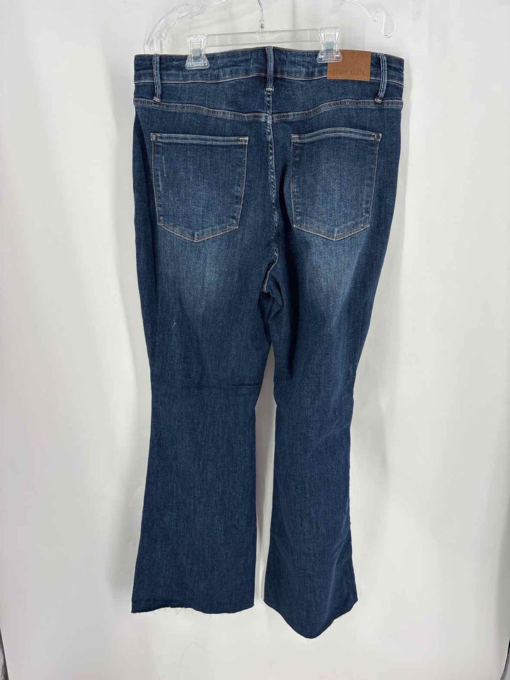 Size 18 JUDY BLUE Denim Pants
