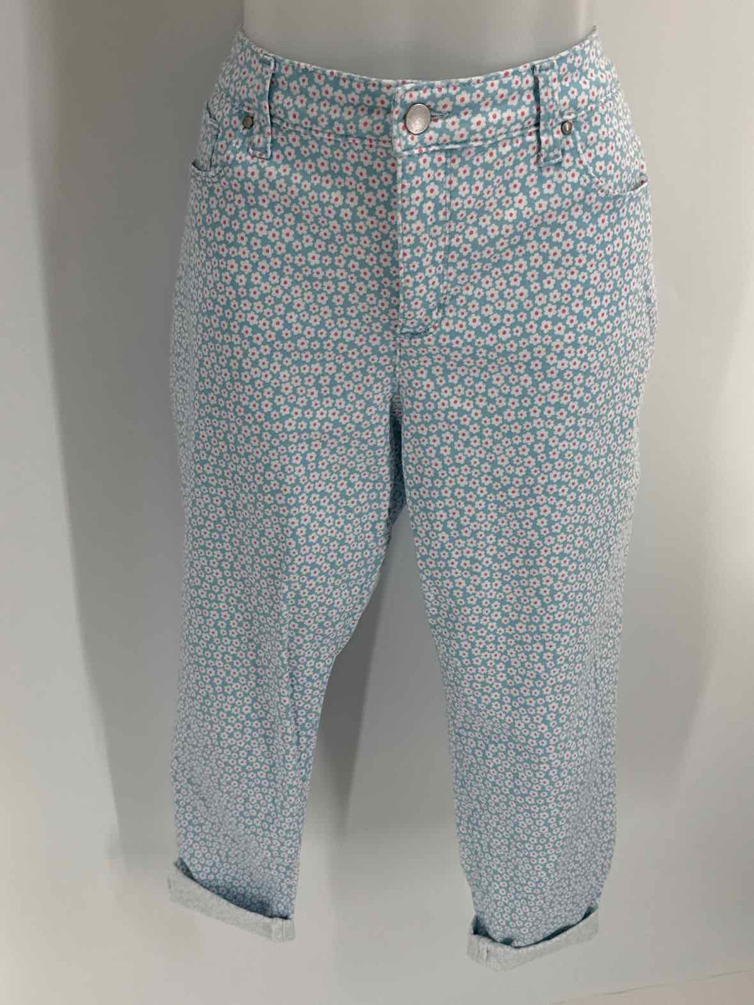 Size 14 CHARTER CLUB Blue Pants