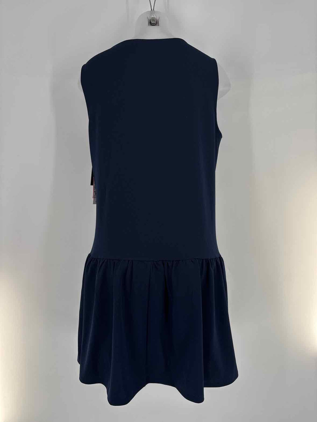 Size L Navy Dress