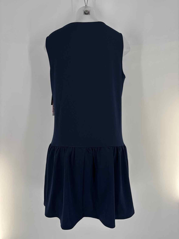 Size L Navy Dress
