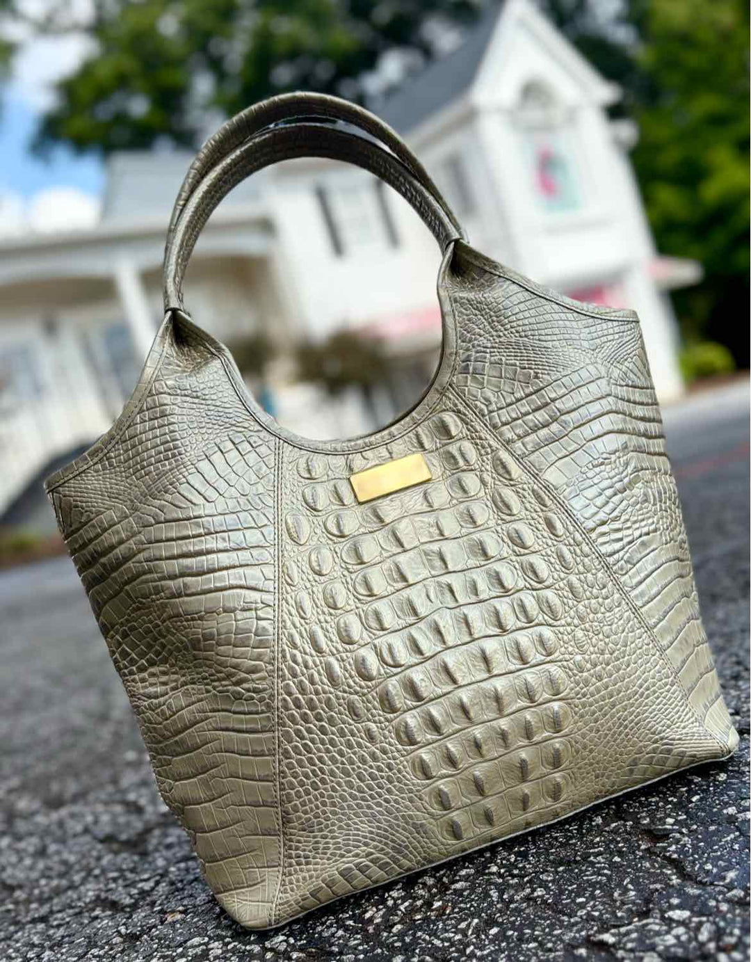 Brahmin Purse