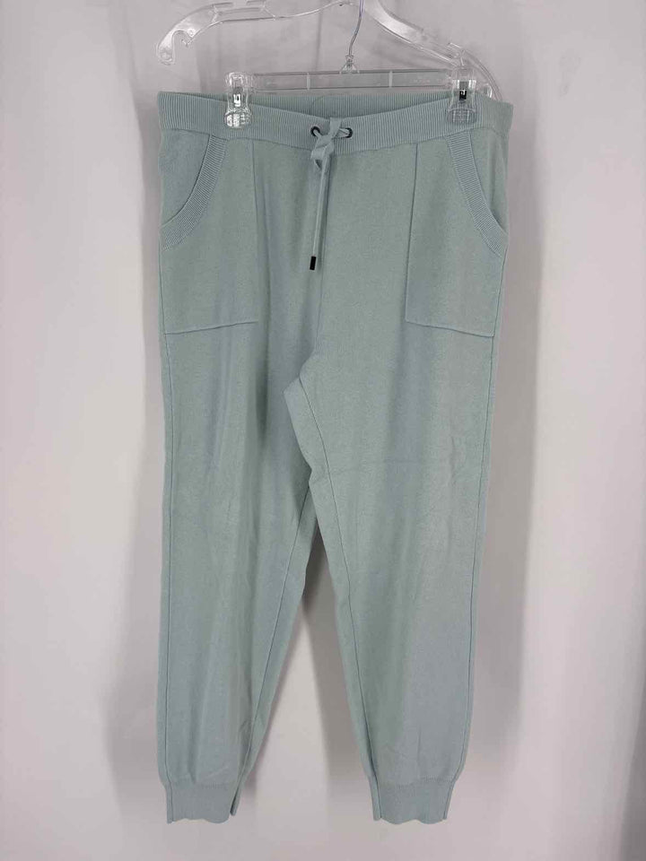 Size L Chico's Teal Pants