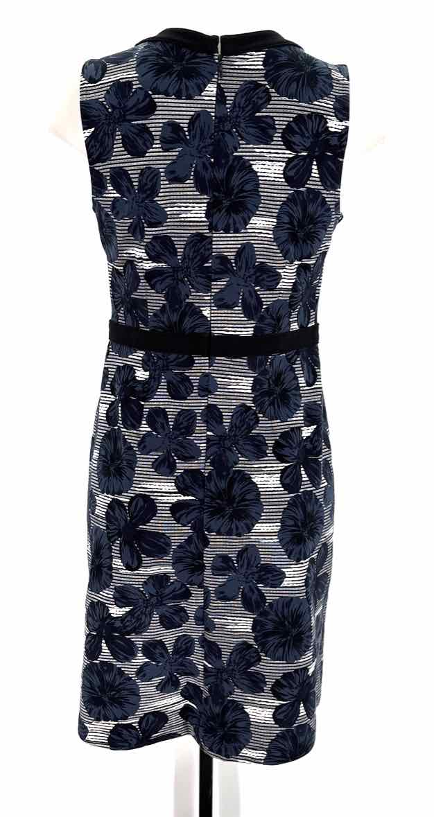Size 4 Ann Taylor Multi-Color Dress