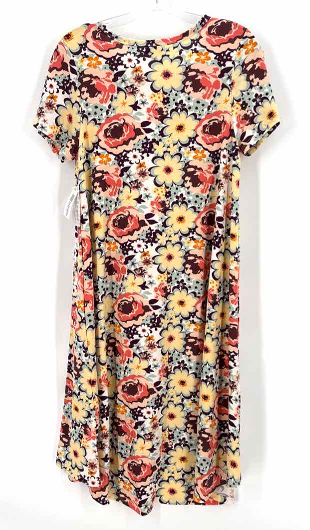 Size M lularoe Ivory Dress