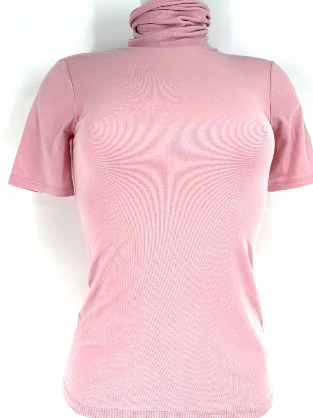 Size Petite THEORY Pink Shirt