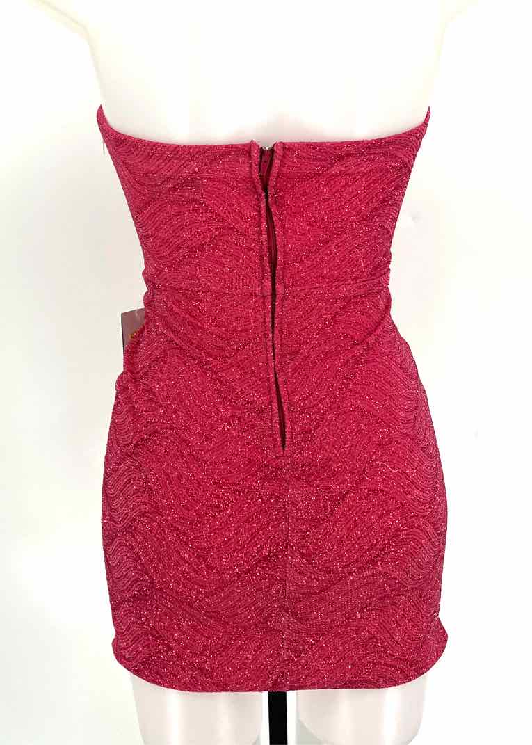 Size 1 Fuschia Dress