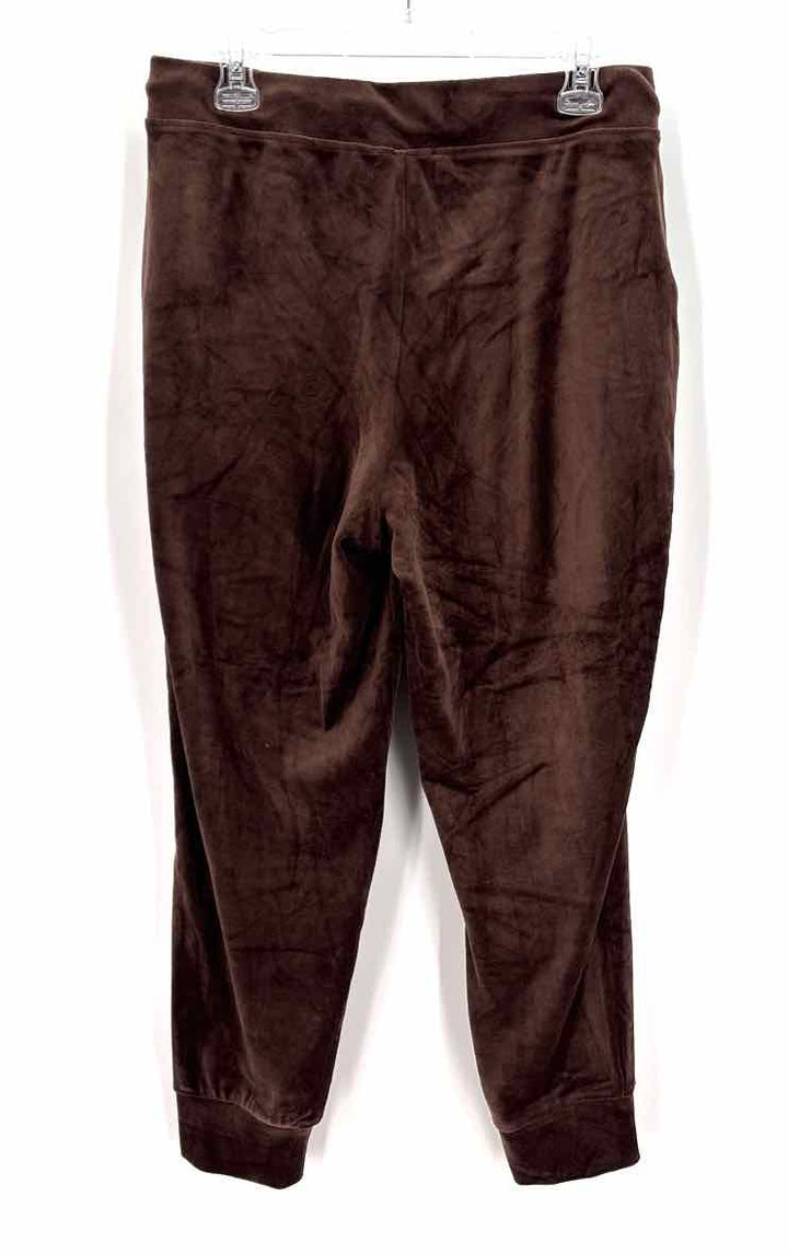 Size L Brown Velour 2 PC Dress