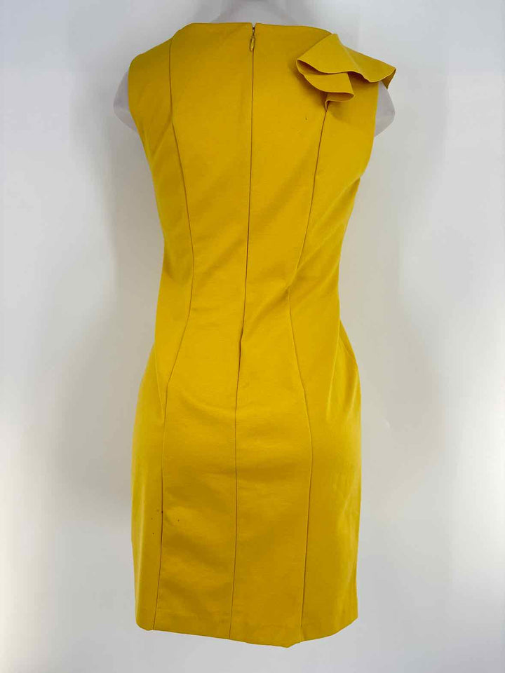 Size 4 ADRIENNE VITTADINI Yellow Dress