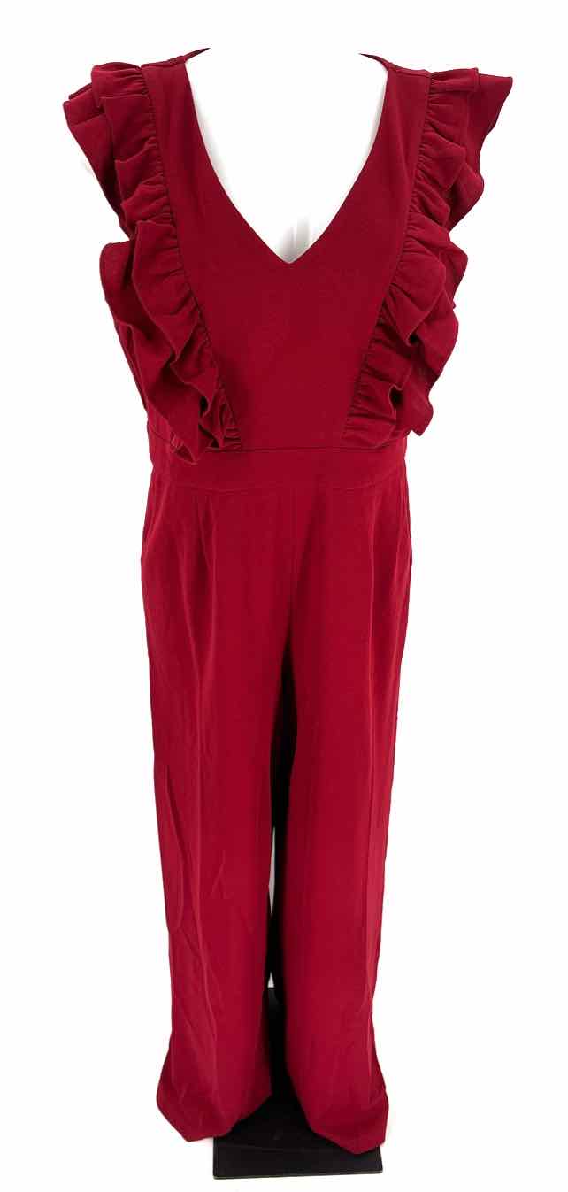 Size L NY & CO Burgundy Pants