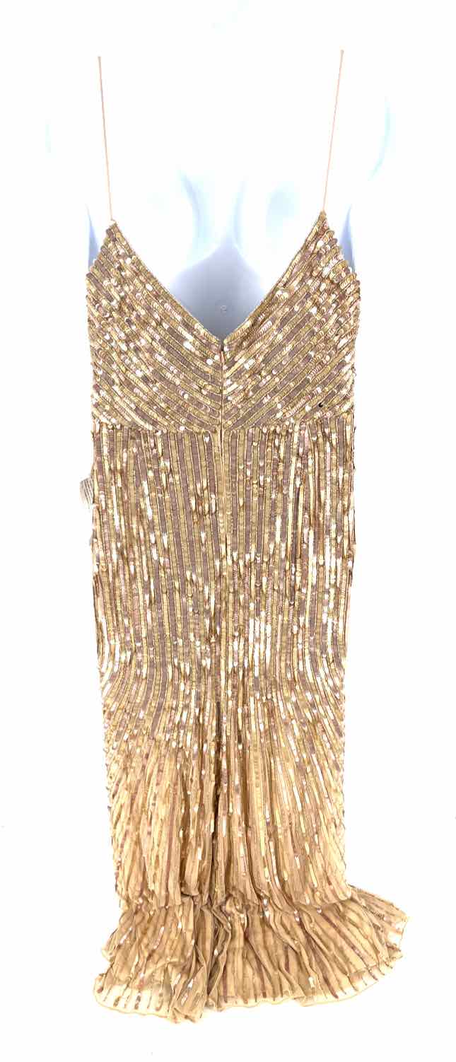 Size 16 MAC DUGGAL Champagne Dress