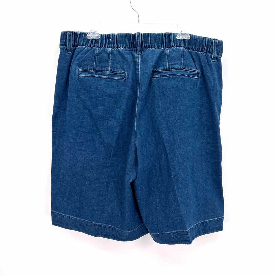 Size 16 AMERICAN EAGLE Denim Shorts