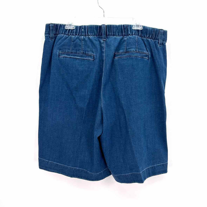 Size 16 AMERICAN EAGLE Denim Shorts