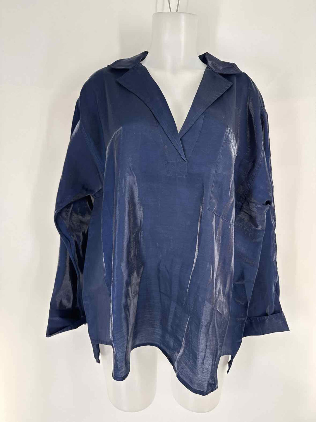 Size L Pilcro & the Letterpress Blue Shirt
